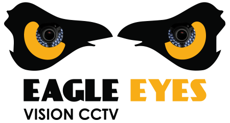 Eagleeyes cctv best sale